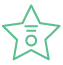 A star icon featuring a green outline, symbolizing excellence in digital marketing and web design services.